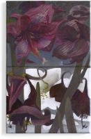 https://www.elisabeth-muehlen.de:443/files/gimgs/th-97_22-24Amaryllis für print u web_v2.jpg